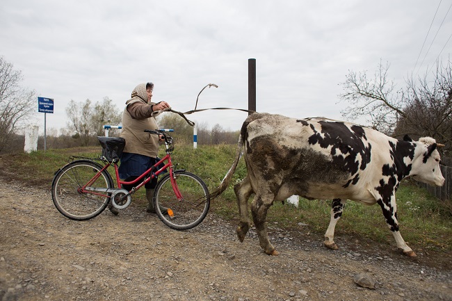 Місцеві жителі уваги на прикордонні знаки не звертають